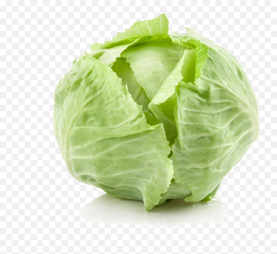 Cabbage Png Background Image - Cabbage Transparent,Cabbage Png