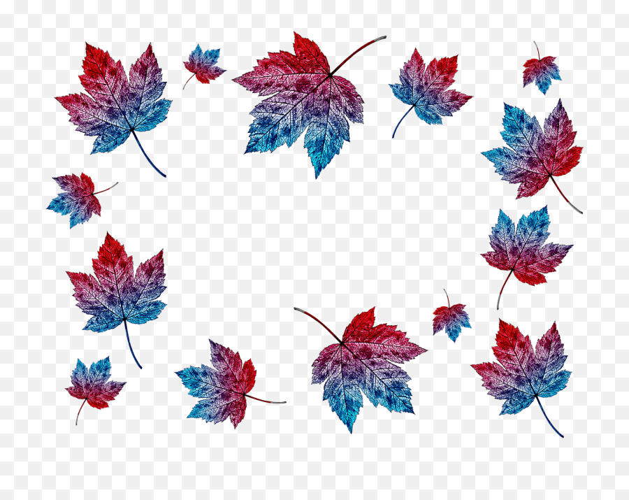Autumn Leaves Collage Transparent - Collage De Hojas De Otoño Png,Autumn Leaves Transparent Background