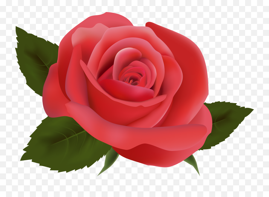 Download Free Png Red Rose Image - Flower Design Set Clipart,Red Rose Png