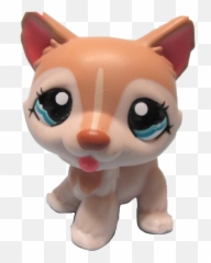 Report Abuse - Lps Husky Png,Husky Png