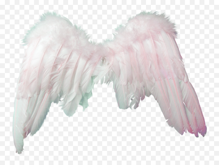 Clipart Angel Png 19578 - Free Icons And Png Backgrounds Alas De Angel Png,Angel Png