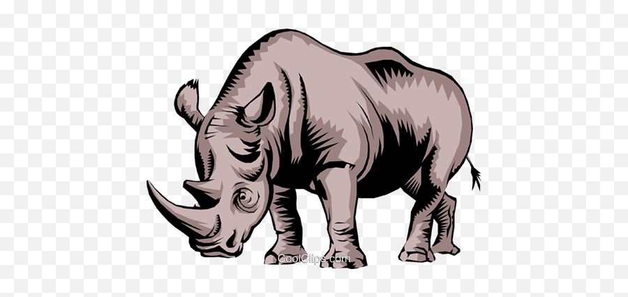 Rhinoceros Royalty Free Vector Clip Art Illustration - Rhinoceros Free Clip Art Png,Rhino Transparent Background