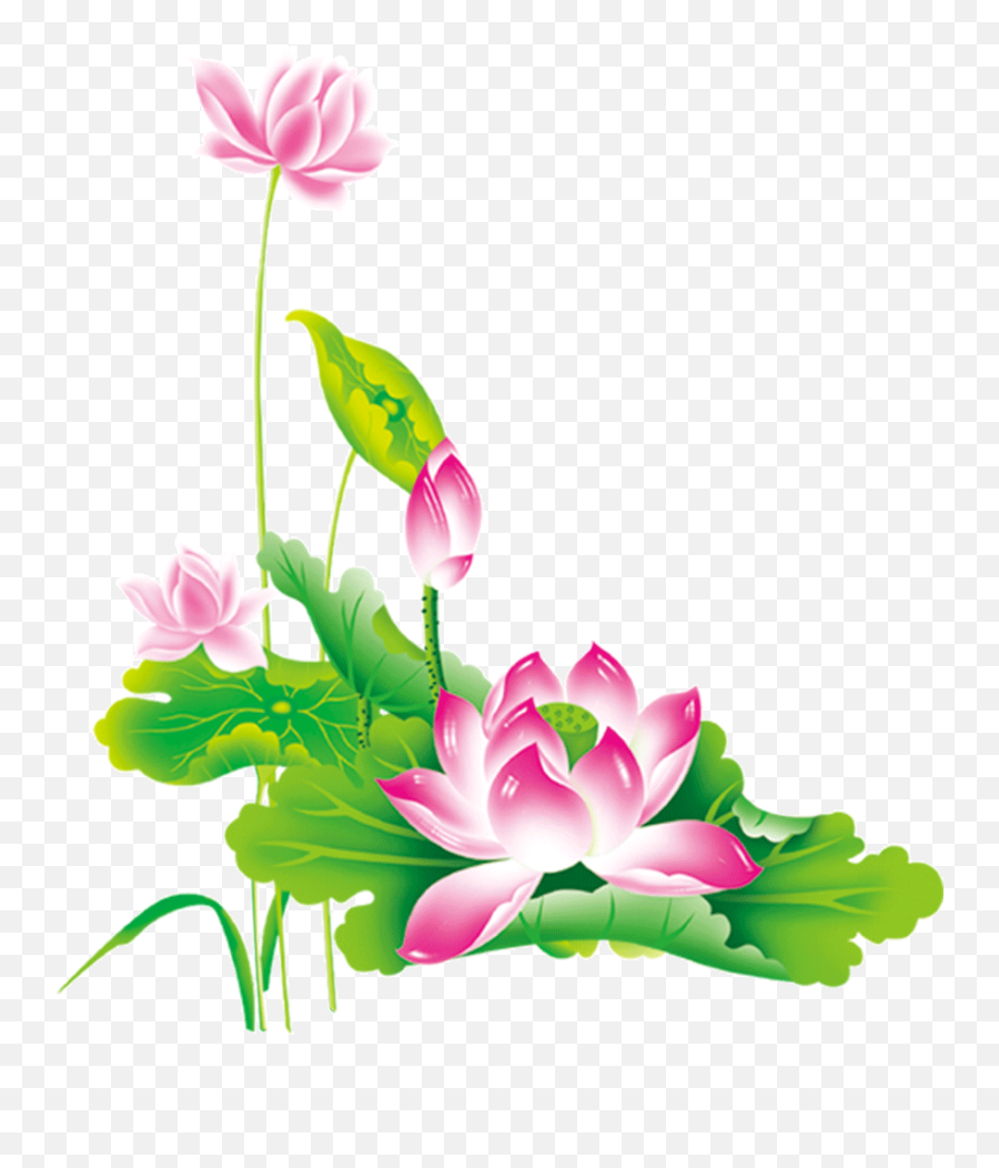 Chinese Flower Png - Lotus Clip Chinese Png Png,Lotus Transparent Background