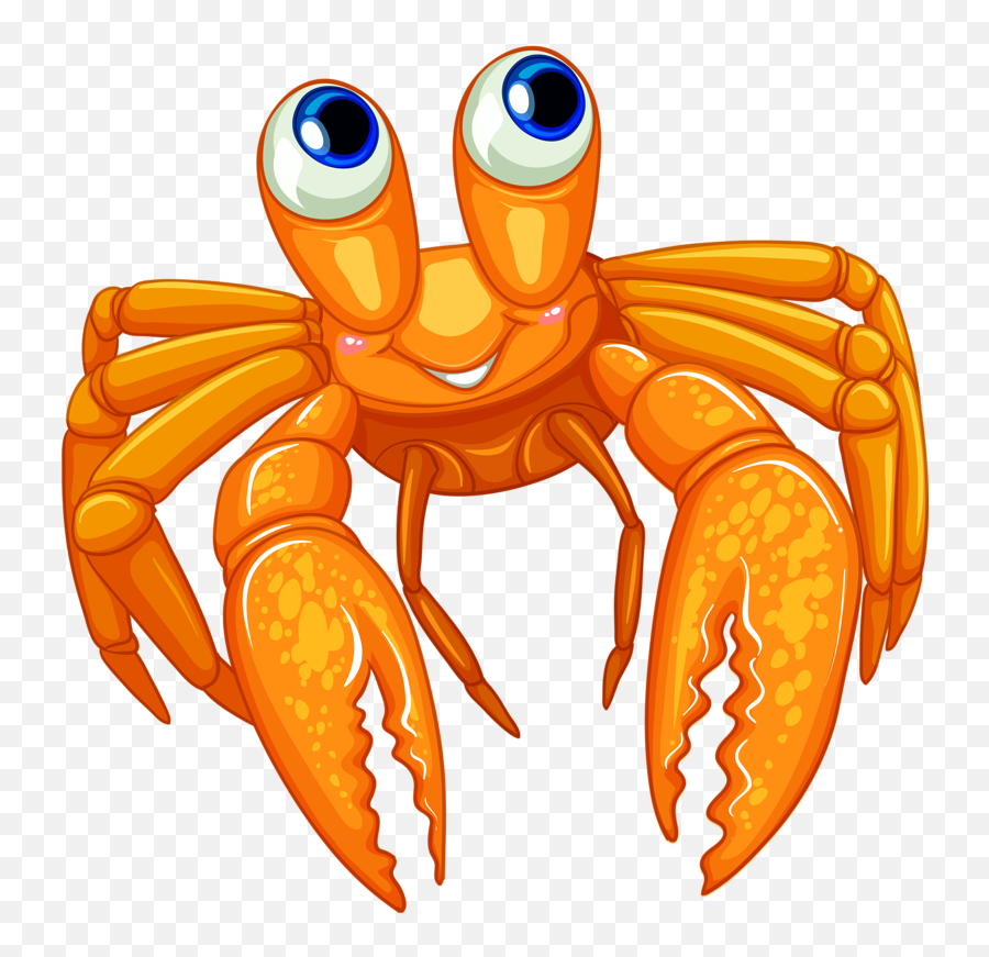 Photo From Album - Crab Sea Animals Clipart Png,Crab Clipart Png