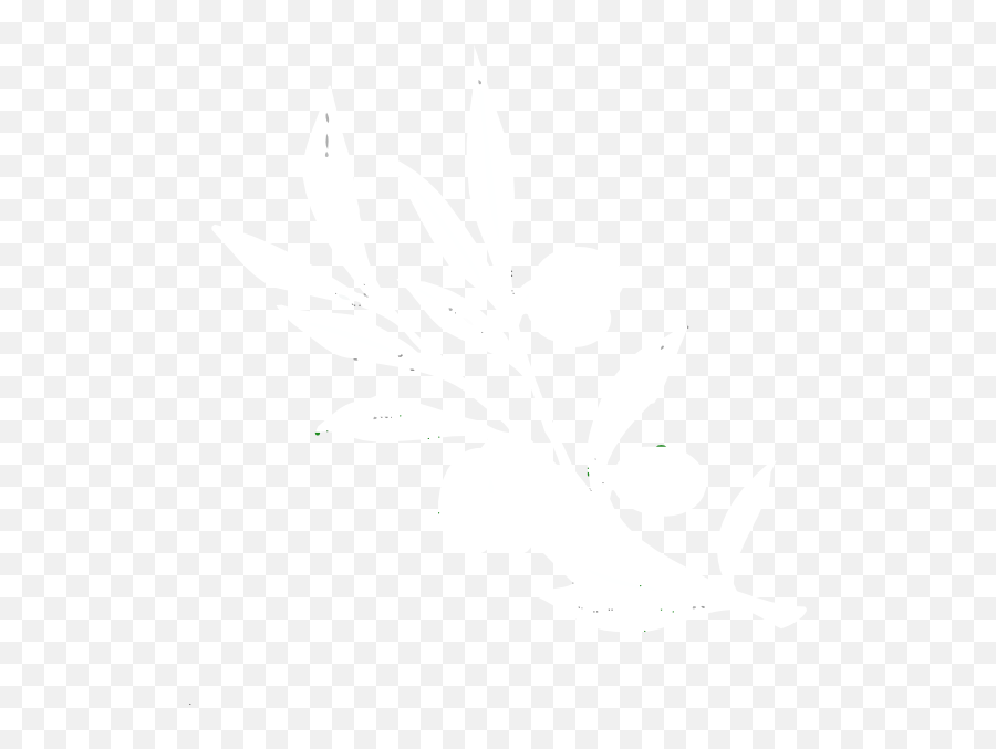 White Olive Branch Png - White Olive Branch Png,Olive Branch Png