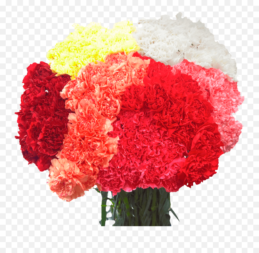 Best Price Of Carnations - Artificial Flower Png,Carnation Png