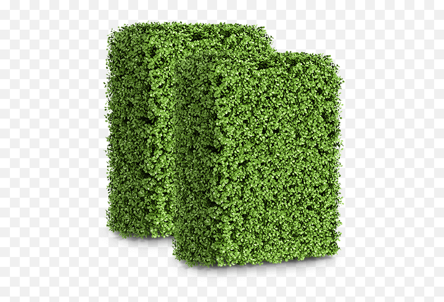 Hedge Png - Artificial Turf,Boxwood Png