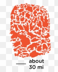 5 Of Californiau0027s 6 Largest Fires - Hair Design png