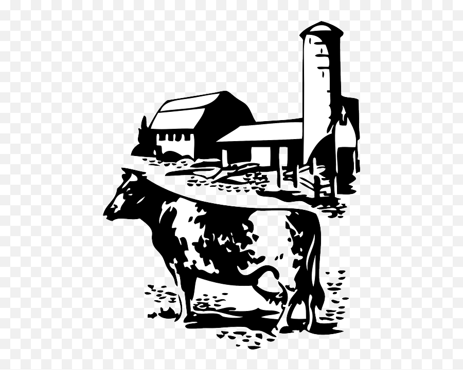 Barn - Farmcowdairyanimalanimalssilhouettepng 500640 Cow Farm Clipart Black And White,Farmhouse Png
