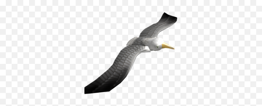 Seagull Friend Roblox Wiki Fandom - Seagulls Roblox Png,Seagull Icon