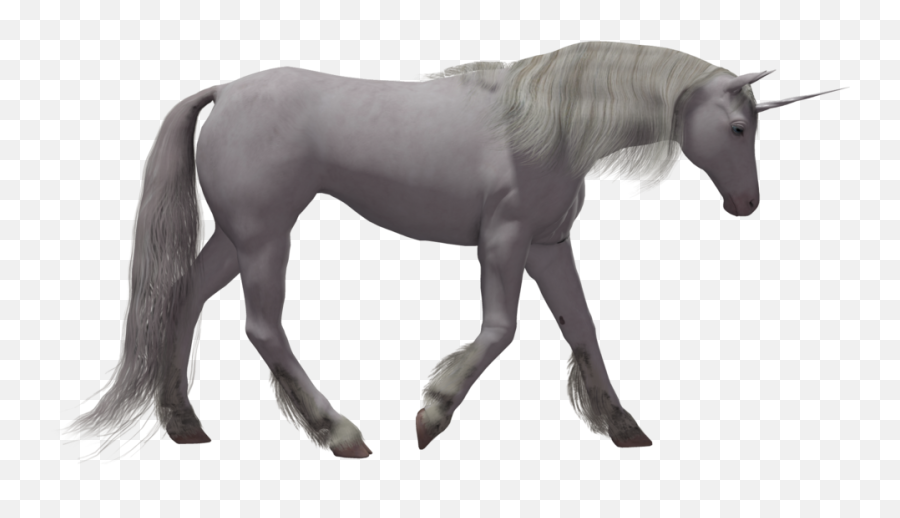 Download Unicorn Png Image For Free - Realistic Unicorn No Background,Unicorn Png Transparent