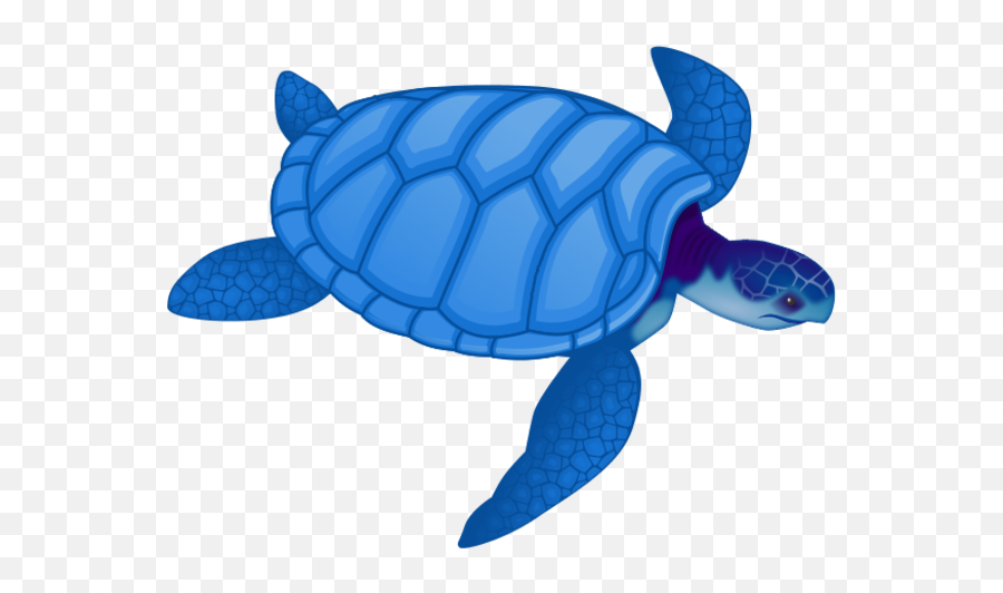 Free Sea Turtle Clipart Image 9 - Sea Turtle Clip Art Png,Cute Turtle Png