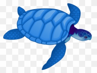 Free Sea Turtle Clipart Image 9 - Sea Turtle Clip Art Png,Cute Turtle Png