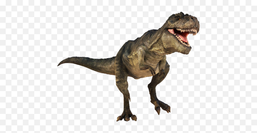 Transparent T Rex Dinosaurs - T Rex Dinosaur Png,Tyrannosaurus Rex Png