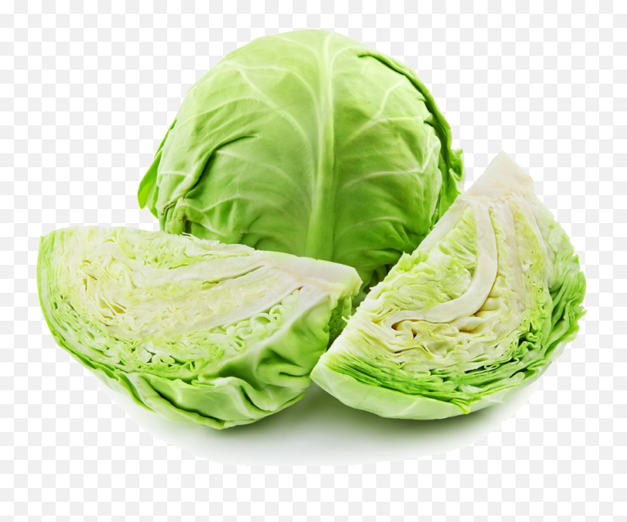 Cabbage Png Image - White Cabbage Png,Cabbage Png