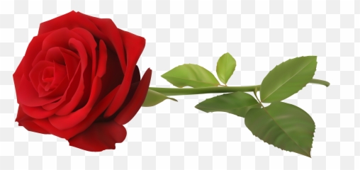 Love Red Rose Png Clip Art - Transparent Background Red Rose Png,Red Rose Png