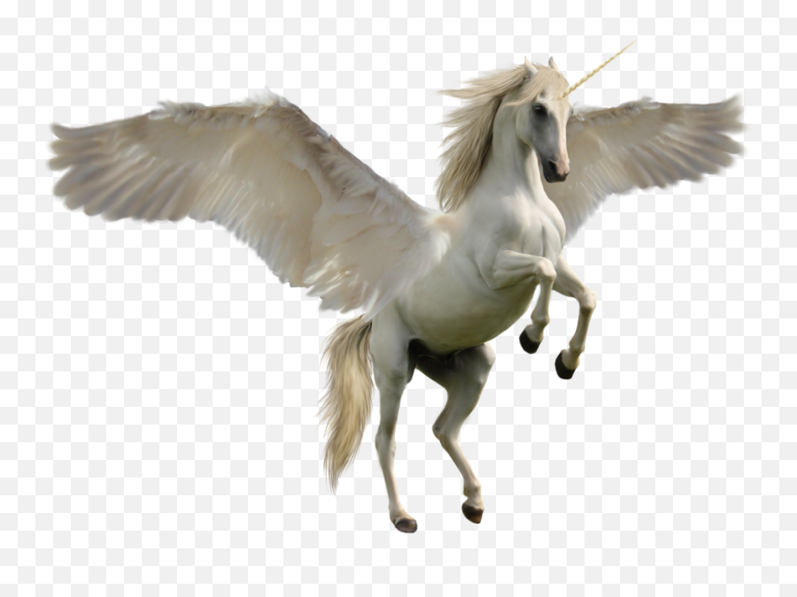 Unicorn Png - Pegasus Png,Unicorn Transparent Background