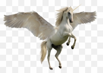 Unicorn Png - Pegasus