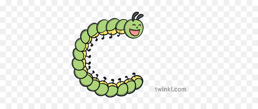 C Shaped Caterpillar Illustration - Twinkl Caterpillar Png,Caterpillar Png