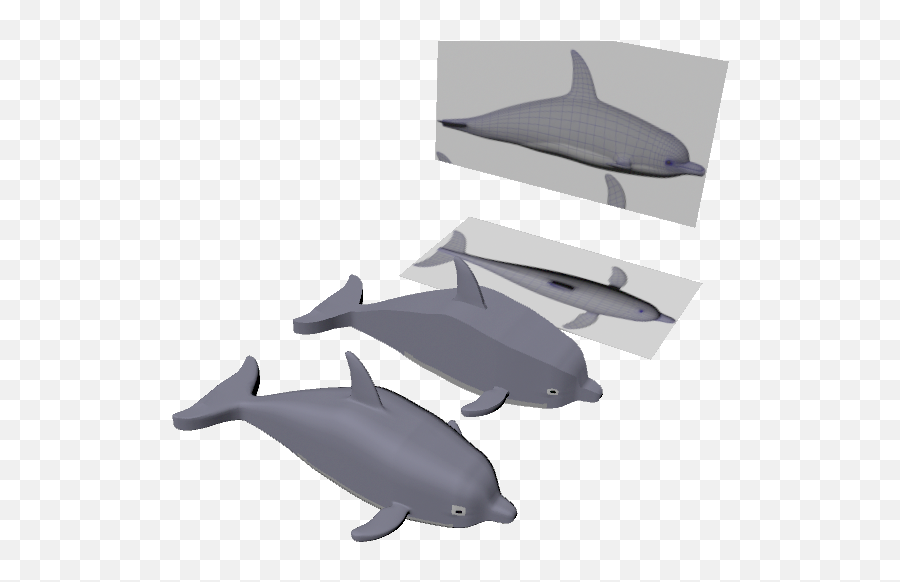 3d Dolphin Png - Dolphin Model Used From Reference Images To Wholphin,Dolphin Png