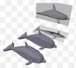 3d Dolphin Png - Dolphin Model Used From Reference Images To Wholphin,Dolphin Png