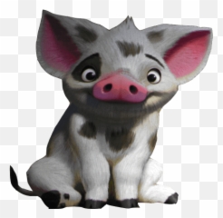 Moana Pua The Piglet Png Image