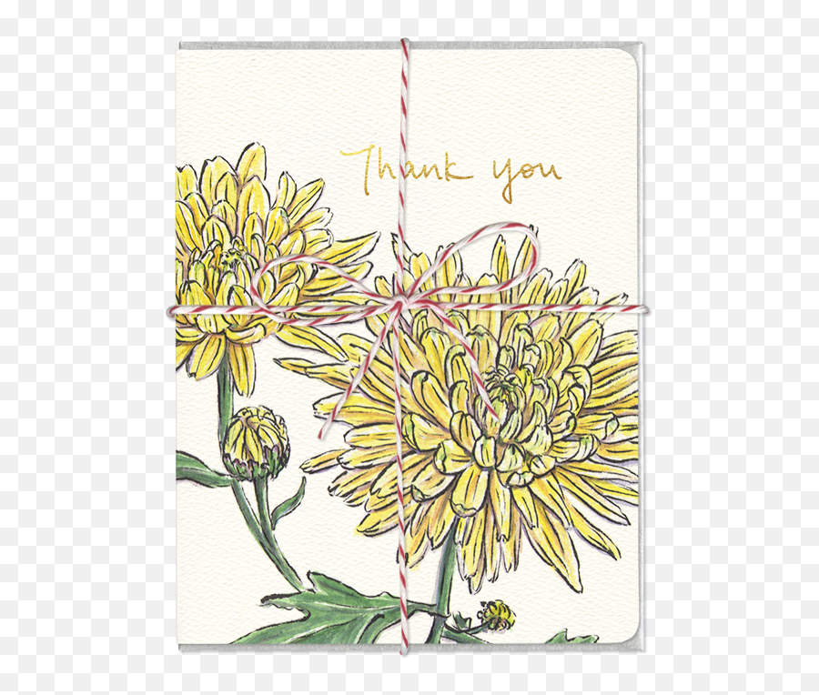 Chrysanthemum Thank You Card - Greeting Card Png,Chrysanthemum Png