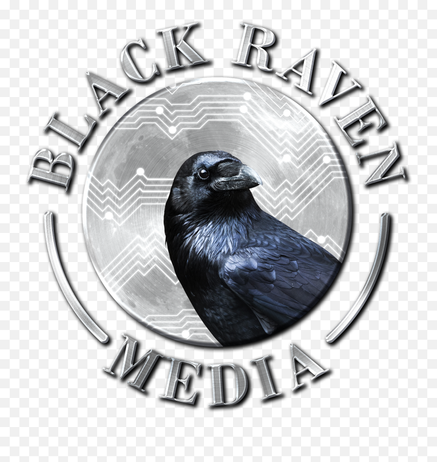 Raven - Black Raven Media Llc Logo Png,Raven Transparent Background