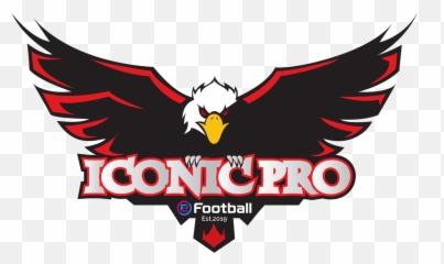 Iconic Myanmar Esport Team Png