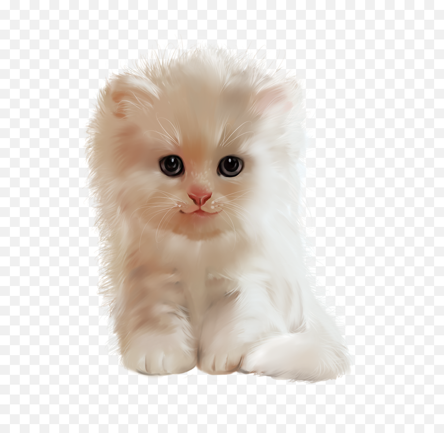 Download Hd Cat Cute Cats Dog Kitten Kawaii - Cat Pets Cat Cute Png,Cute Cat Transparent