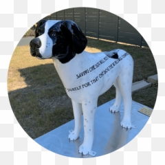 Paws - Pointer Png,Alpha Icon Dog Clothes