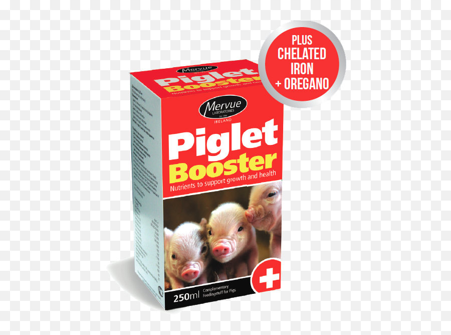 Piglet Booster - Ferret Png,Piglet Png