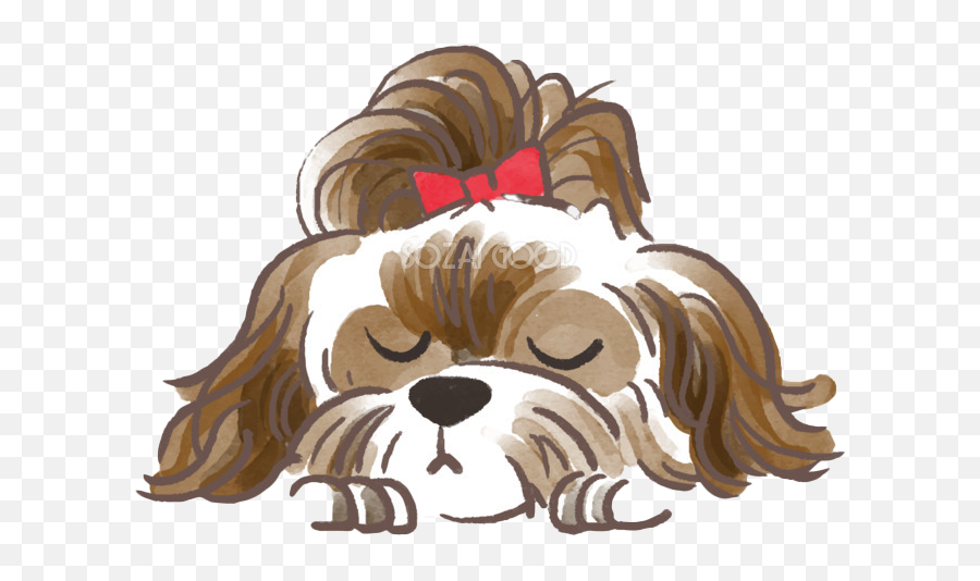 Picture Shih Tzu Free Download Image - Shih Tzu Png Clipart,Shih Tzu Icon