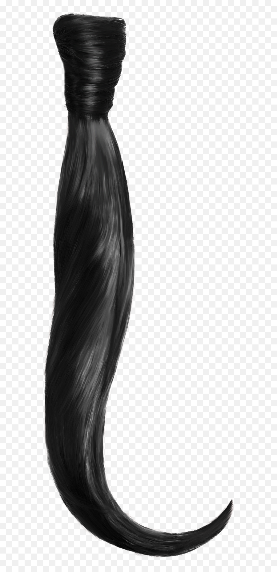 Long Hair Brown Black - Lace Wig Png,Hair Png Transparent