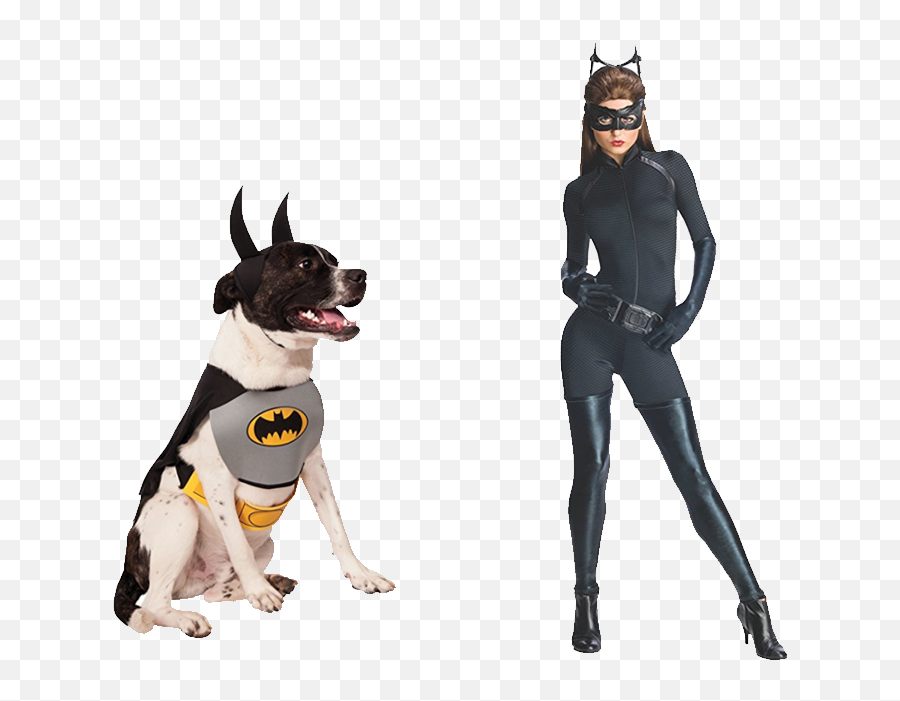 Catwoman - 1200nobg Market Beyond Anne Hathaway Batman Costume Png,Catwoman Png