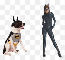 Catwoman - 1200nobg Market Beyond Anne Hathaway Batman Costume Png,Catwoman Png