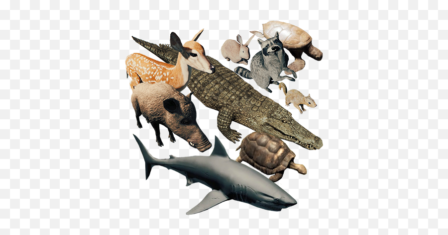 Animal - Official The Forest Wiki Forest All Animal Heads Png,Jawaban Icon Pop