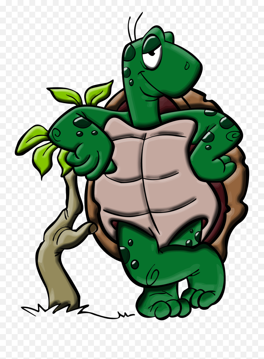 Cartoon Turtle - Cartoon Turtle Png,Cute Turtle Png