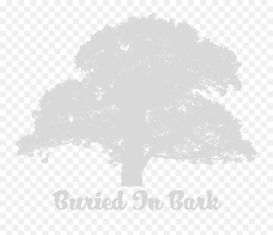 Download About - Old Oak Tree Silhouette Png Image With No Illustration,Tree Silhouette Png