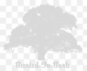 Download About - Old Oak Tree Silhouette PNG Image with No Illustration