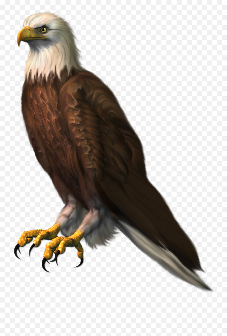 Png Eagle Transparent Clipart - Sitting Eagle Png Hd,Bald Eagle Transparent