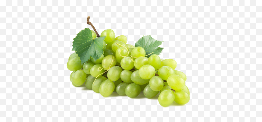Download Green Grapes Png - Green Grape Png,Grapes Png