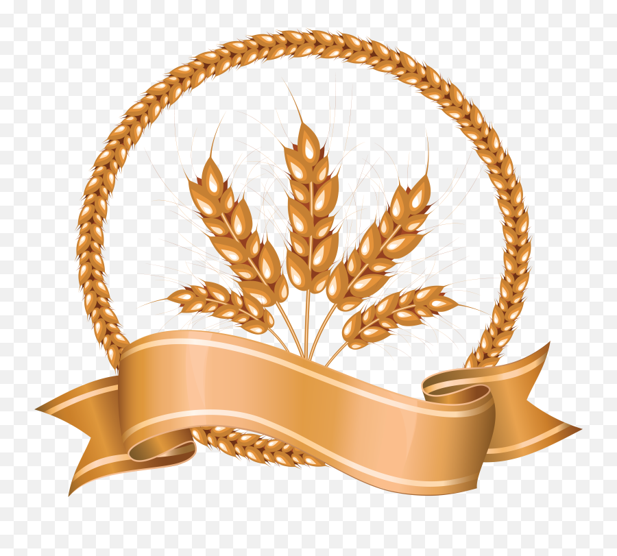 Wheat Png - Png Images Wheat Png,Wheat Transparent Background