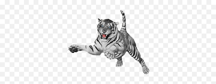 White Tiger Png 2 Image - Draw A Fierce Tiger,Tigers Png