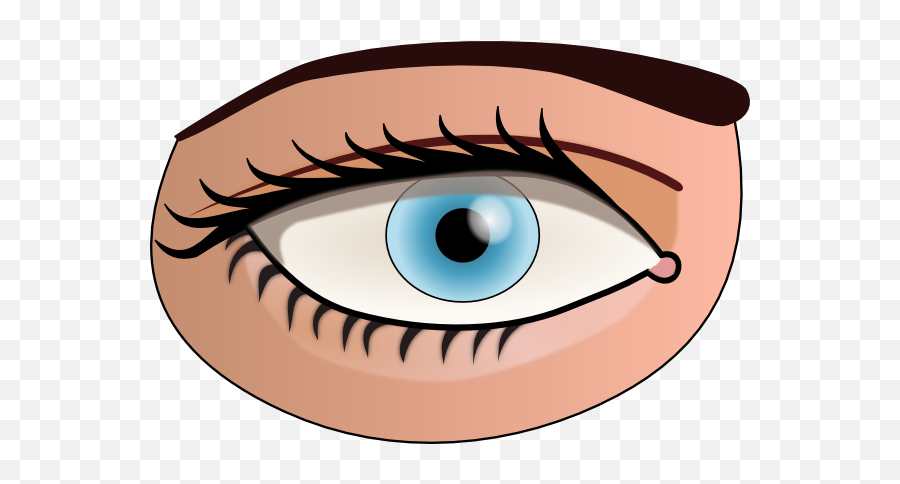Eyes Clipart Png Picture - Part Of Body Eye,Eye Clipart Png