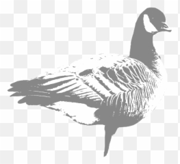 Oregon U2014 Hunt 41 - Portable Network Graphics Png,Goose Png