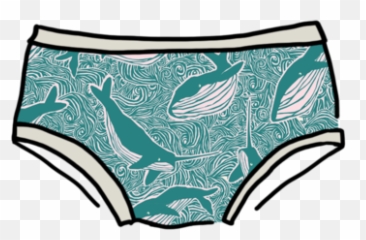 Thunderpants - Organic Cotton Underwear Made In The Usa Png,Panties Png
