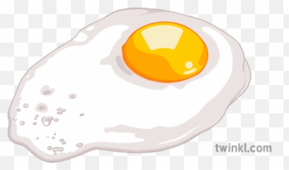 Fried Egg 3 Illustration - Twinkl Fried Egg Png,Fried Egg Png