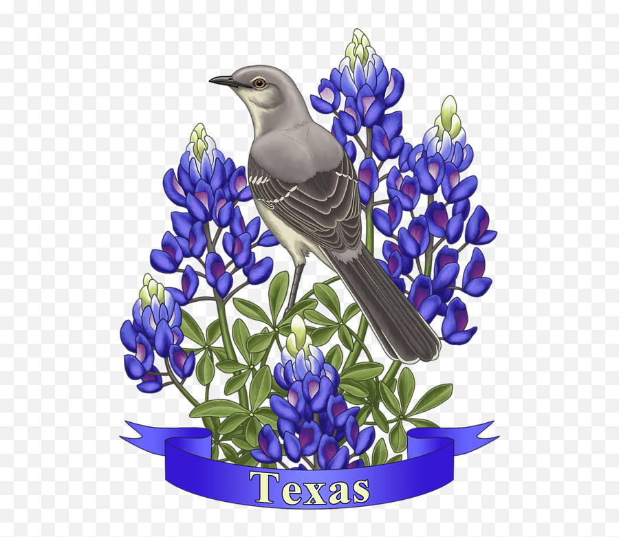 Texas State Mockingbird And Bluebonnet Flower Round Beach Towel - Texas State Mockingbird And Bluebonnet Flower Png,Mockingbird Png
