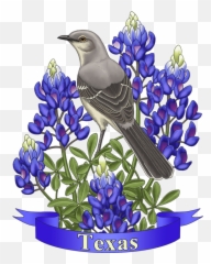 Texas State Mockingbird And Bluebonnet Flower Round Beach Towel - Texas State Mockingbird And Bluebonnet Flower Png,Mockingbird Png